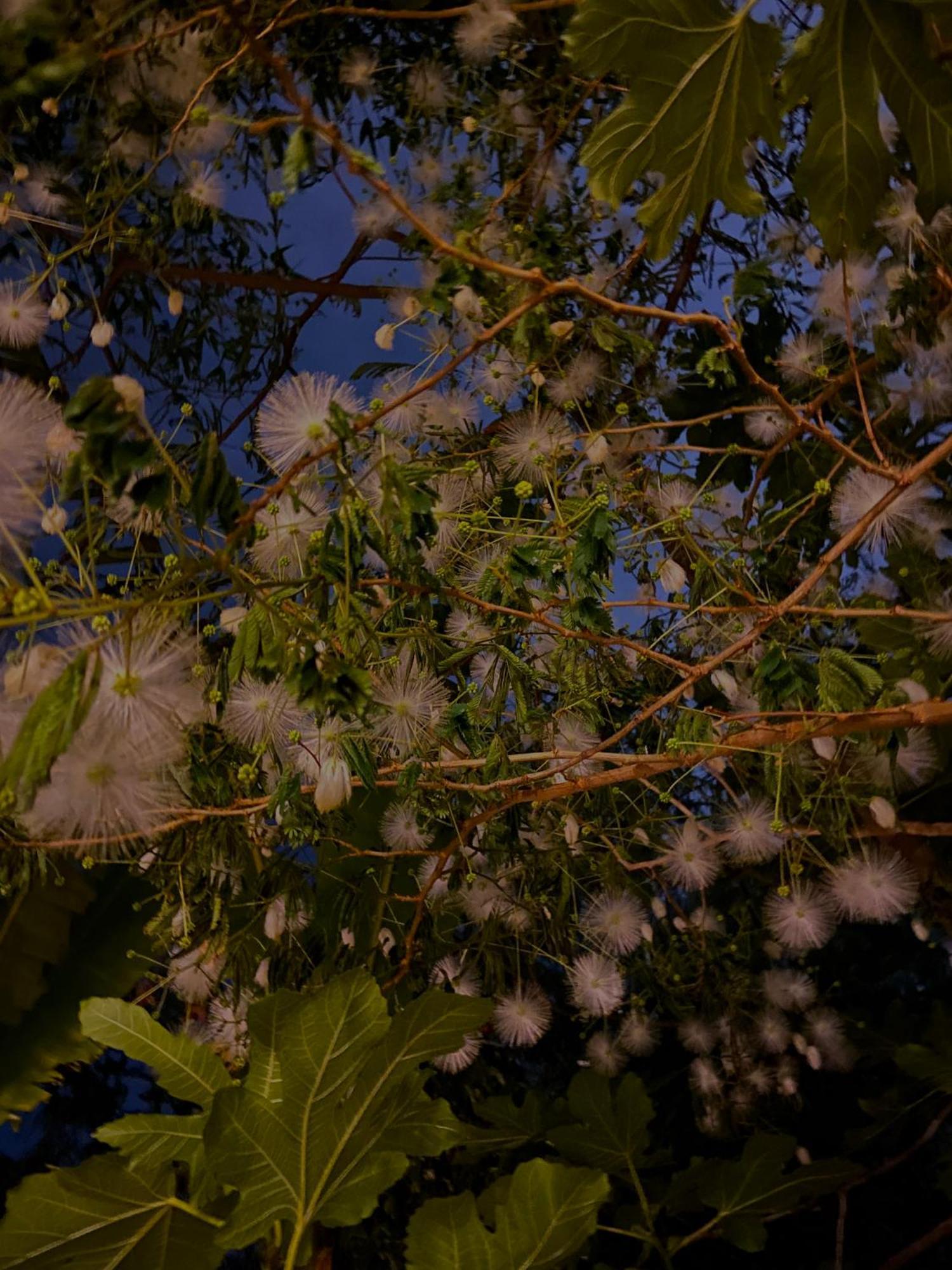 Kamagasaki University Of The Arts Cafe Garden Guest House Aka Cocoroom Osaka Exterior photo